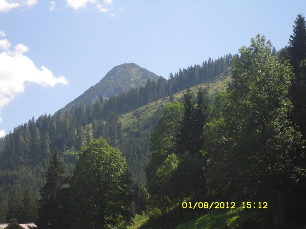 Vorderwiesgut อัลเทนมาร์คท์ อิม พองเงา ภายนอก รูปภาพ
