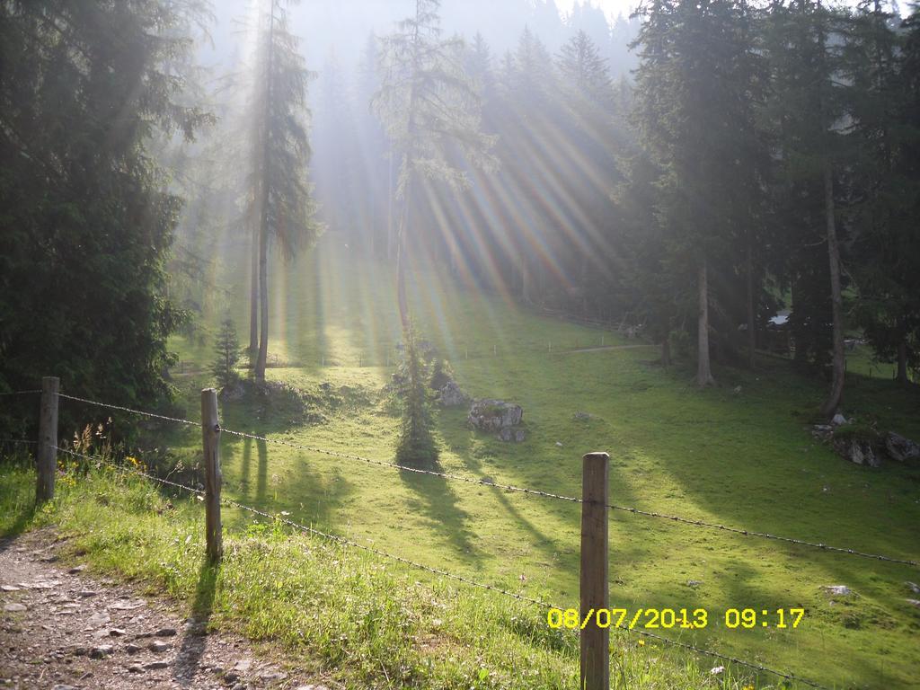 Vorderwiesgut อัลเทนมาร์คท์ อิม พองเงา ภายนอก รูปภาพ